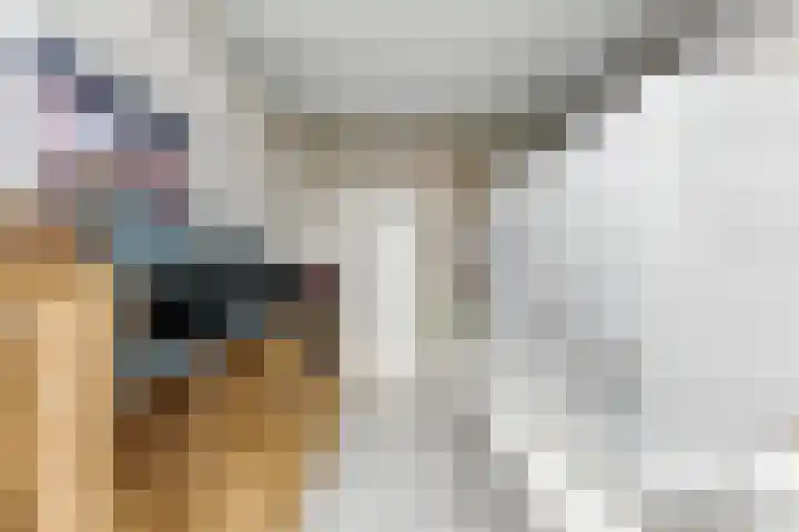 Larikslaan 159 Rotterdam thumbnail 27