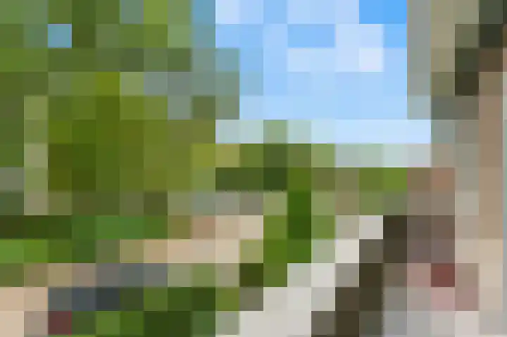 Larikslaan 159 Rotterdam thumbnail 39
