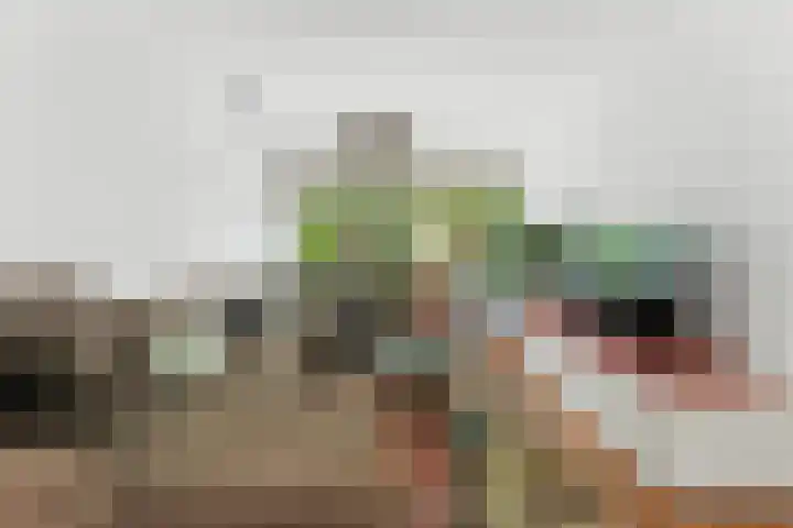 Larikslaan 159 Rotterdam thumbnail 4