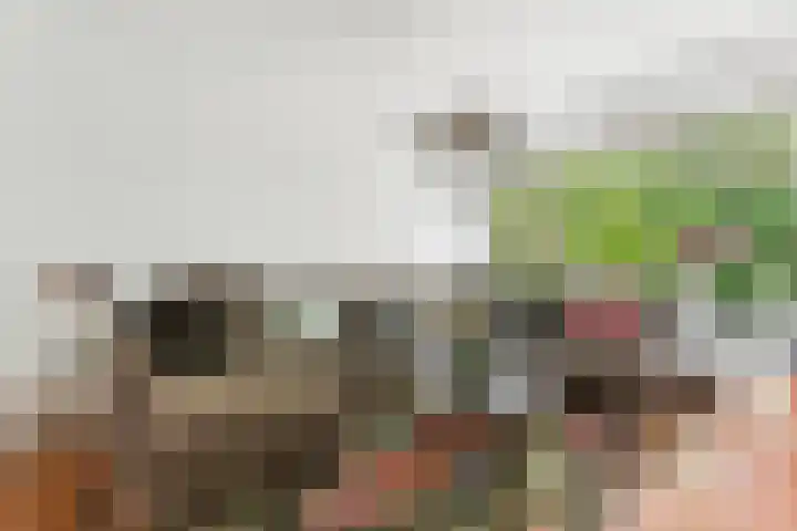 Larikslaan 159 Rotterdam thumbnail 8