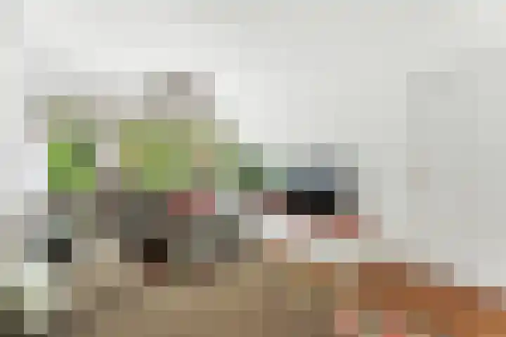 Larikslaan 159 Rotterdam thumbnail 9