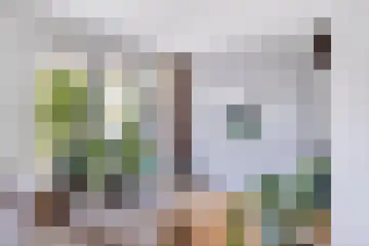 Larikslaan 16 Nuenen thumbnail 10