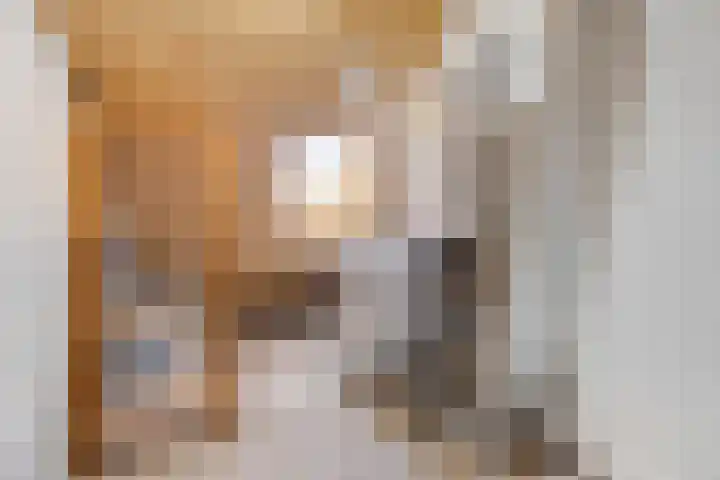 Larikslaan 16 Nuenen thumbnail 18