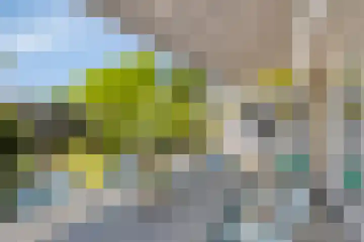 Larikslaan 16 Nuenen thumbnail 21
