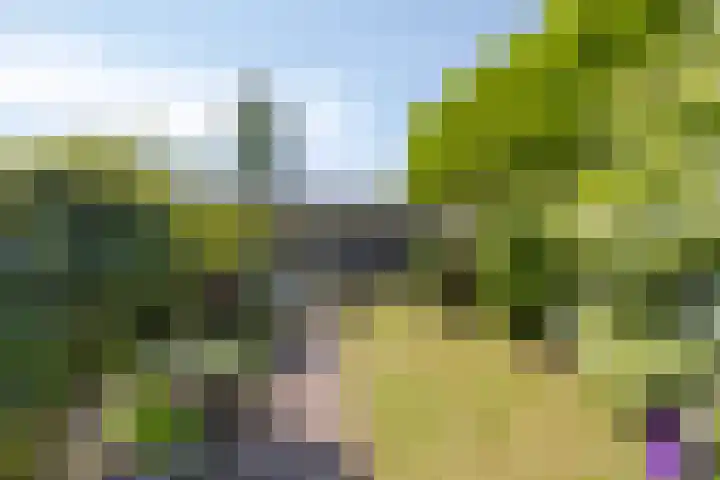 Larikslaan 16 Nuenen thumbnail 24