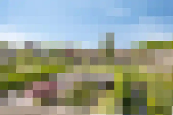 Larikslaan 16 Nuenen thumbnail 26