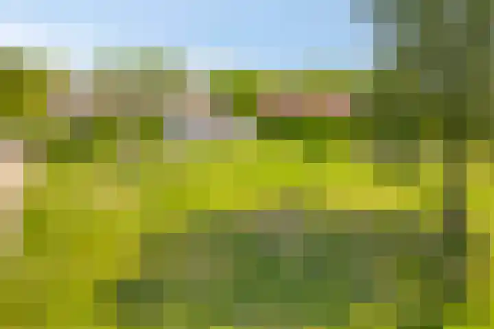 Larikslaan 16 Nuenen thumbnail 28