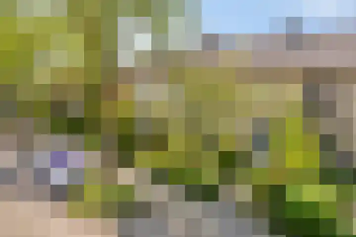 Larikslaan 16 Nuenen thumbnail 29
