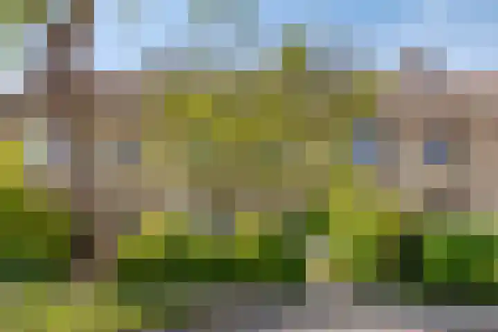 Larikslaan 16 Nuenen thumbnail 34