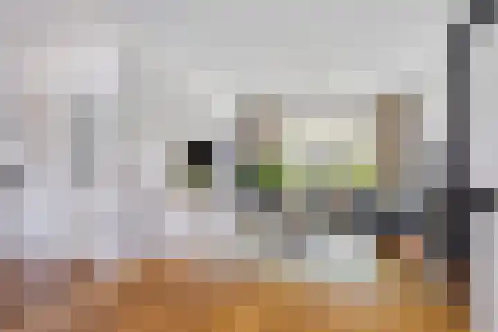 Larikslaan 16 Nuenen thumbnail 5