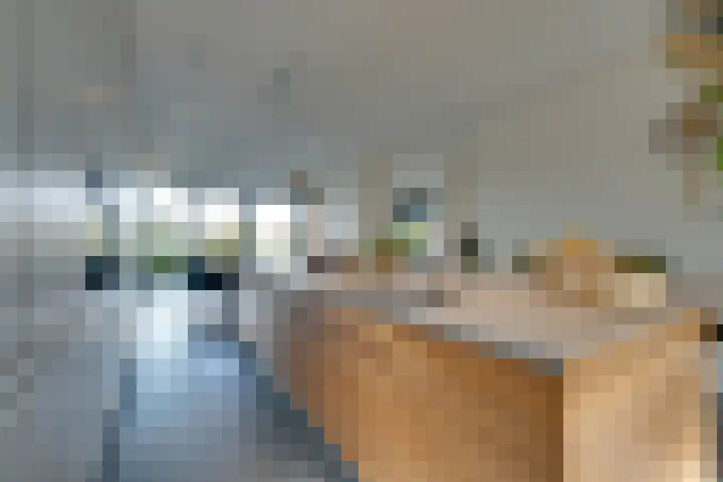 Larikslaan 17 Amsterdam thumbnail 16