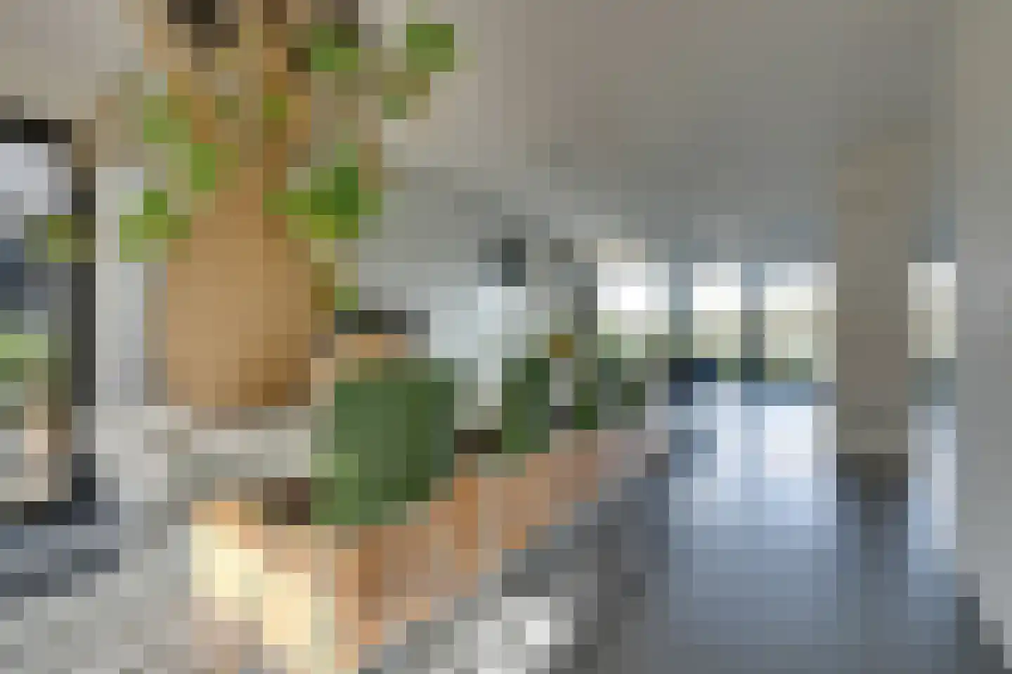 Larikslaan 17 Amsterdam thumbnail 16