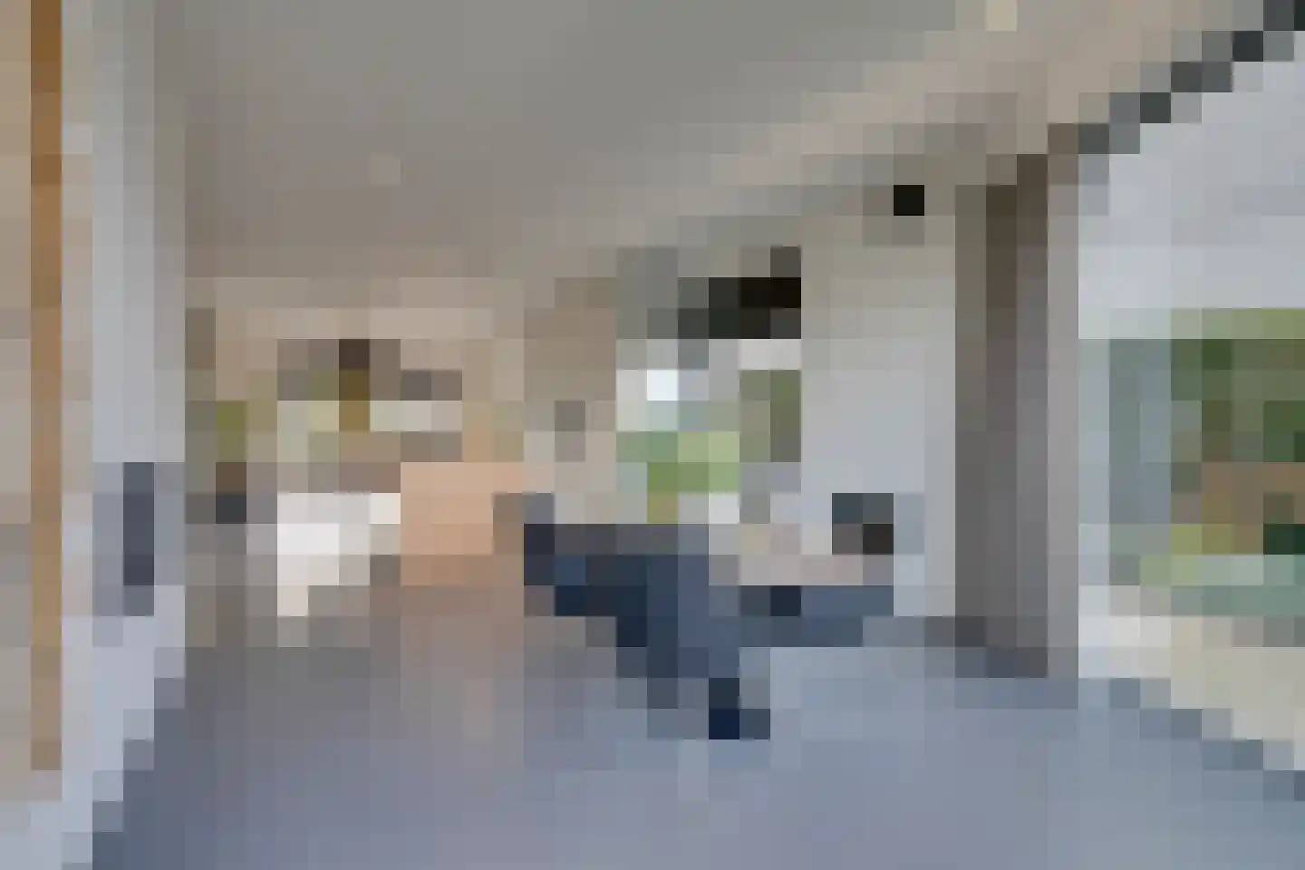 Larikslaan 17 Amsterdam thumbnail 25