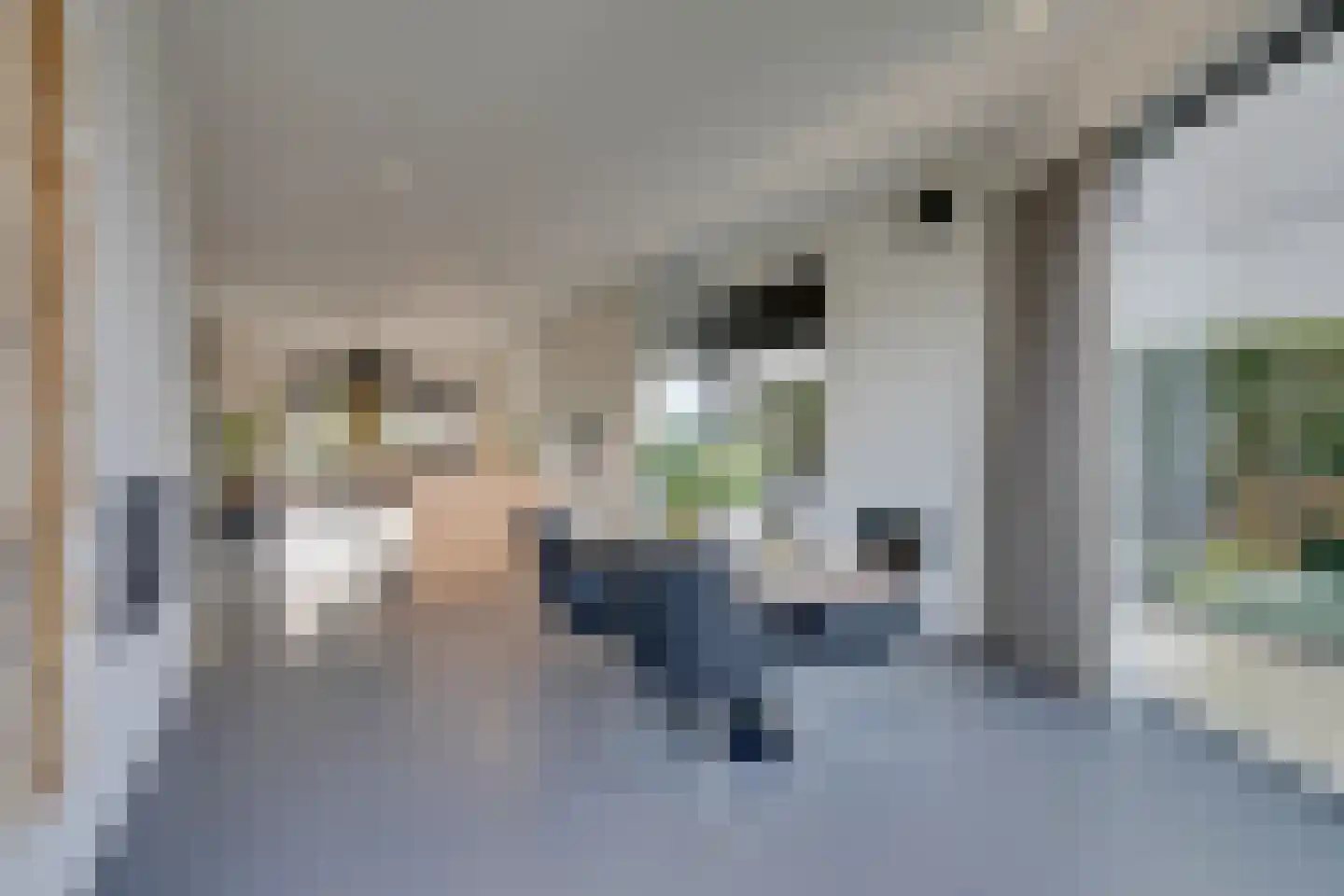 Larikslaan 17 Amsterdam thumbnail 28