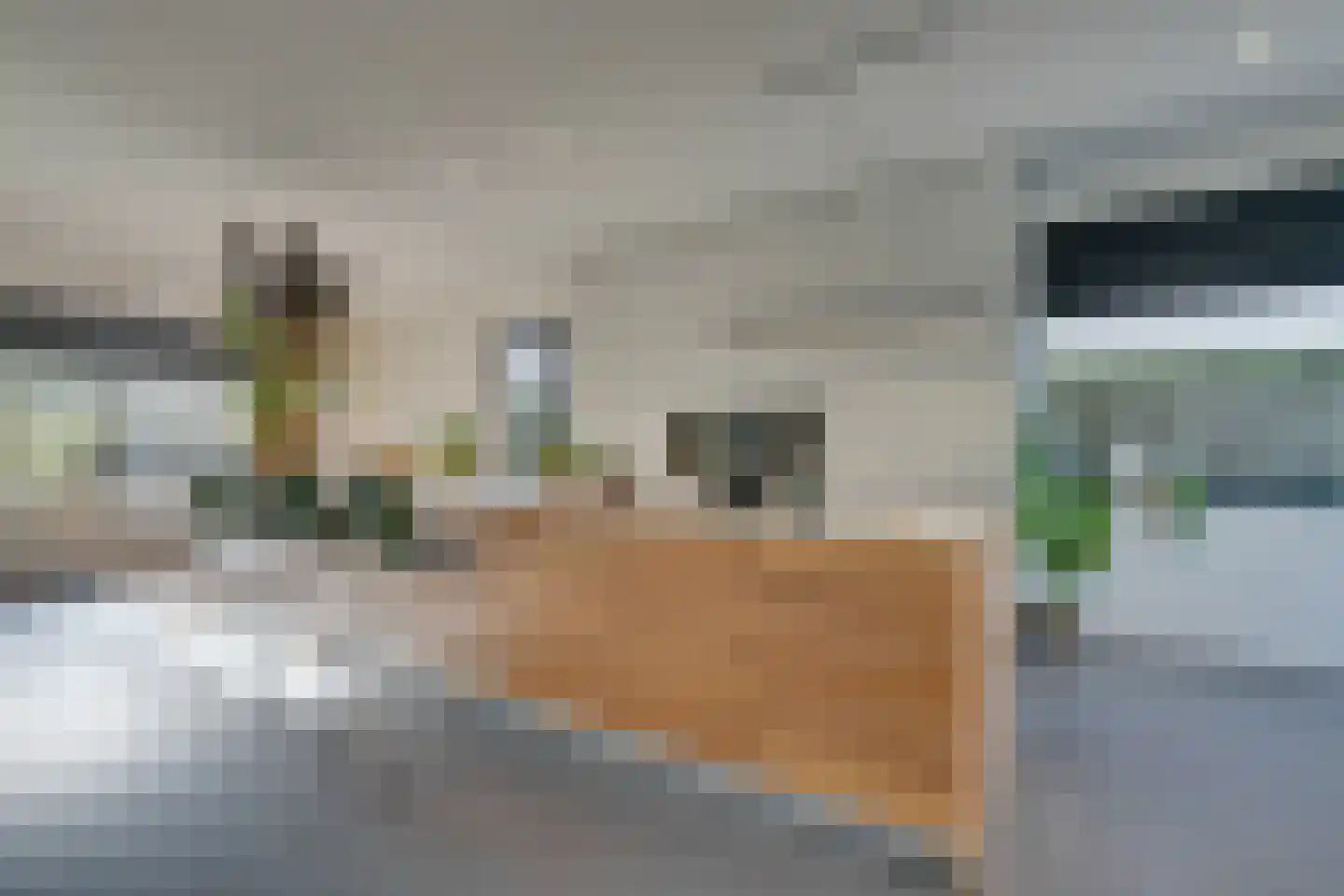 Larikslaan 17 Amsterdam thumbnail 5