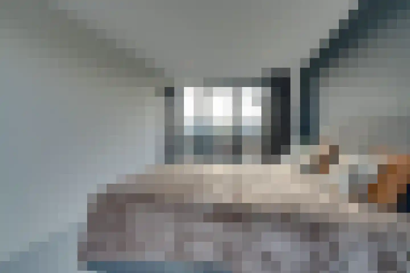 Larikslaan 17 Amsterdam thumbnail 60