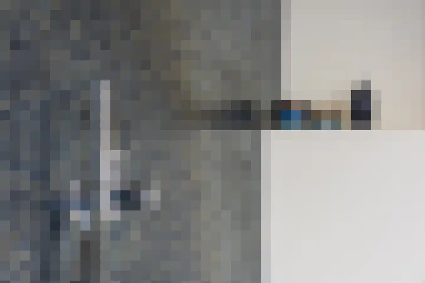 Larikslaan 17 Amsterdam thumbnail 64