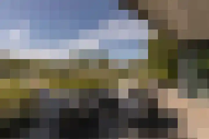 Larikslaan 2 Amsterdam thumbnail 16