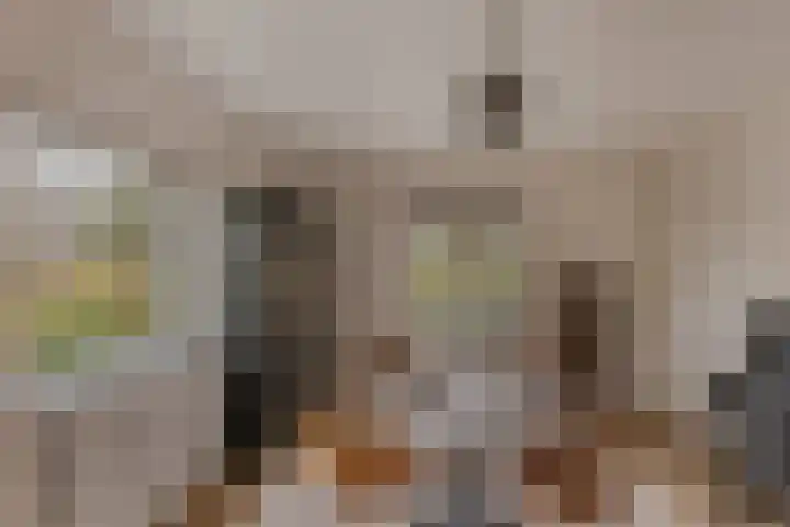 Larikslaan 2 Amsterdam thumbnail 18
