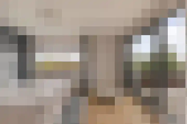 Larikslaan 2 Amsterdam thumbnail 22