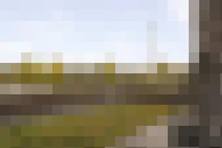 Larikslaan 2 Amsterdam thumbnail 41