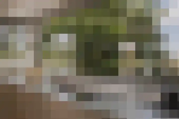 Larikslaan 2 Amsterdam thumbnail 9