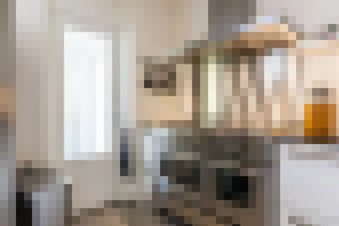 Larikslaan 203 Rotterdam thumbnail 12