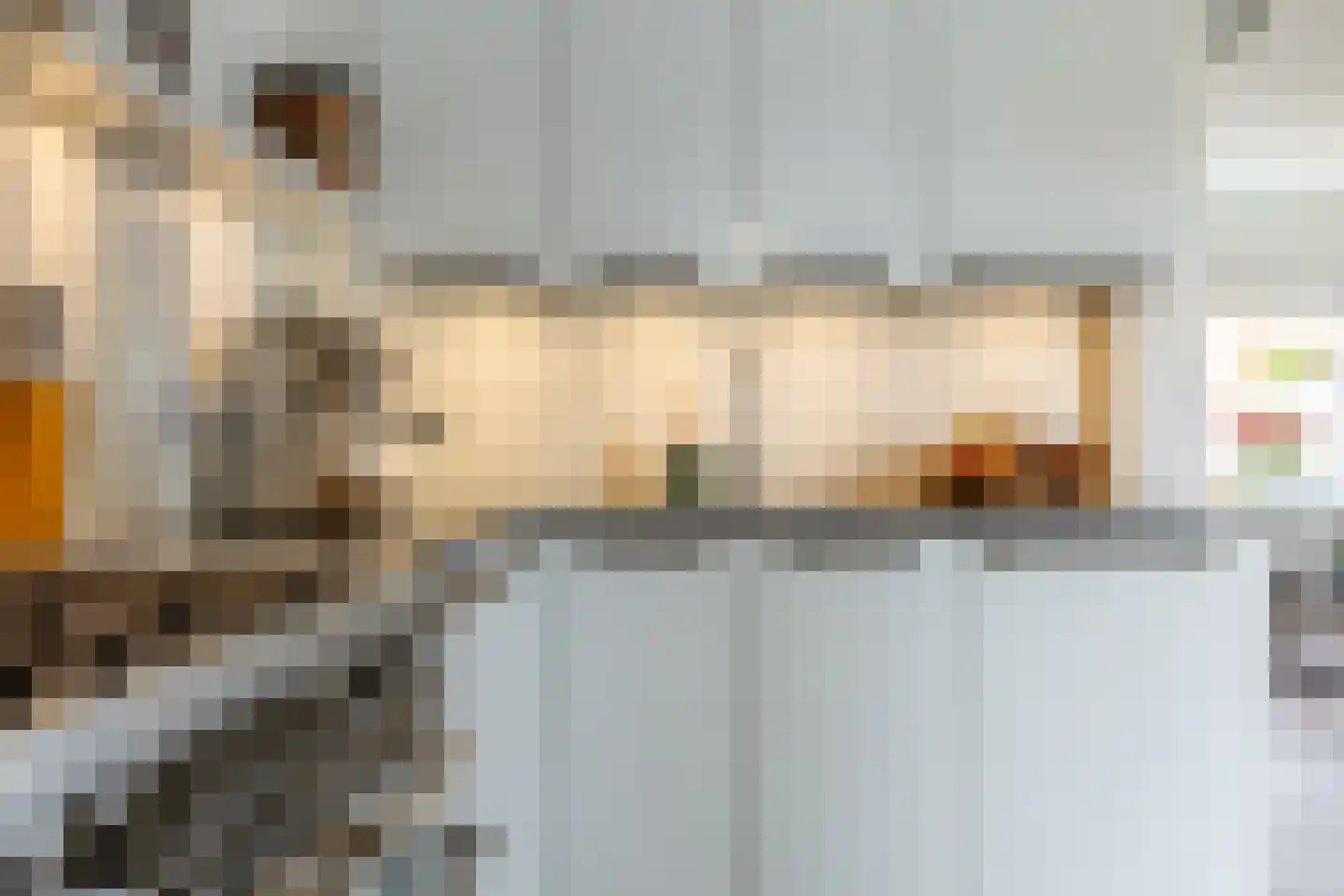 Larikslaan 203 Rotterdam thumbnail 15