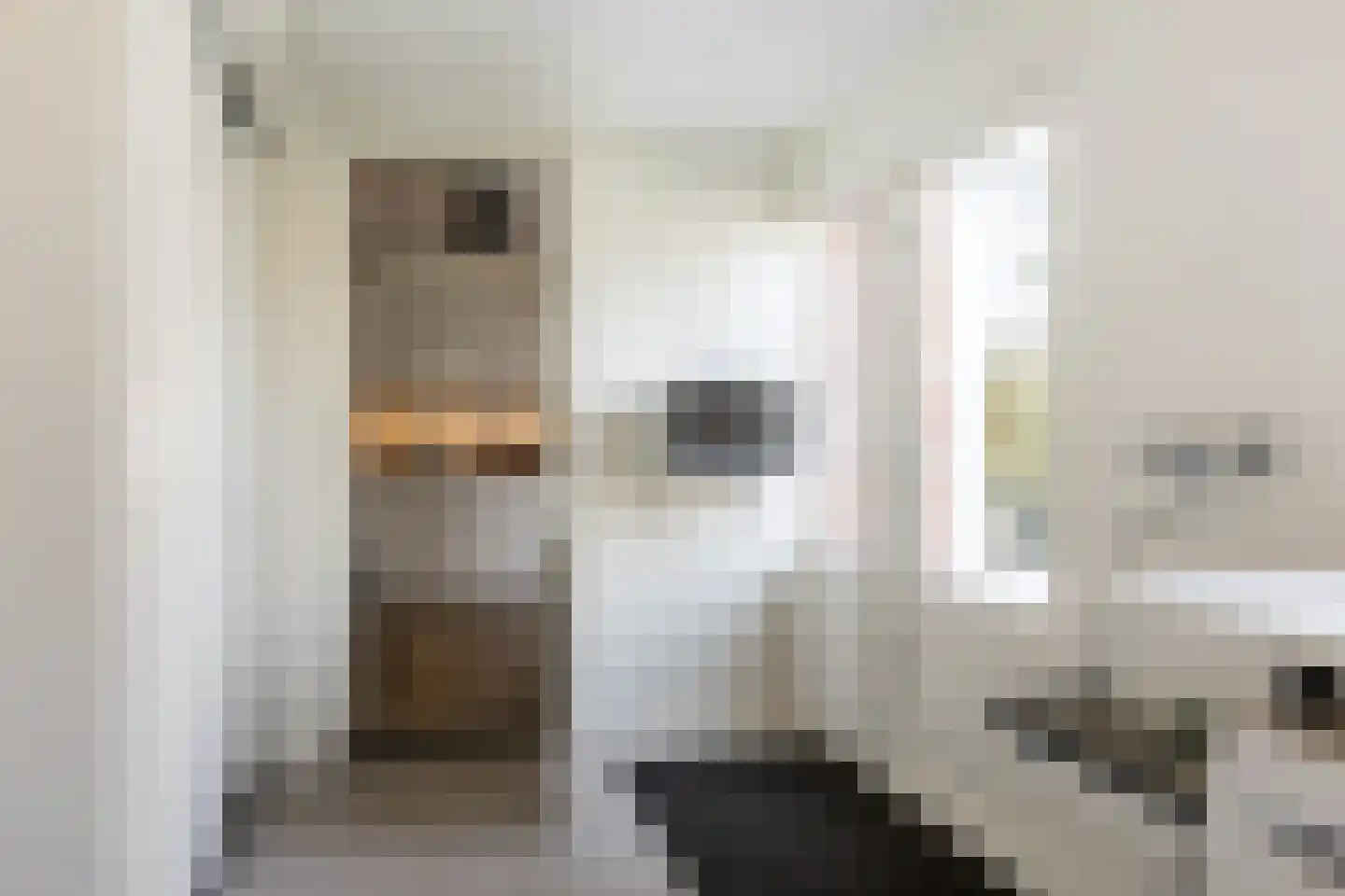 Larikslaan 203 Rotterdam thumbnail 16