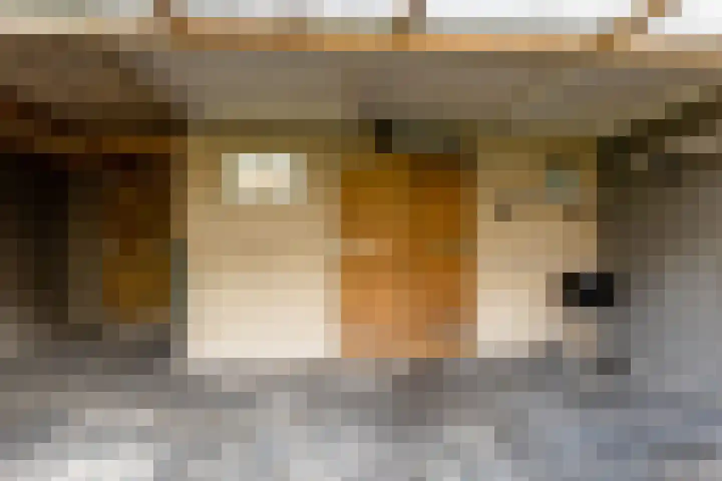 Larikslaan 203 Rotterdam thumbnail 29