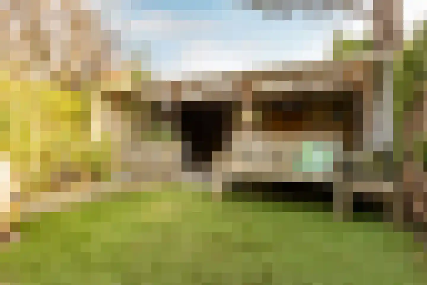 Larikslaan 203 Rotterdam thumbnail 30