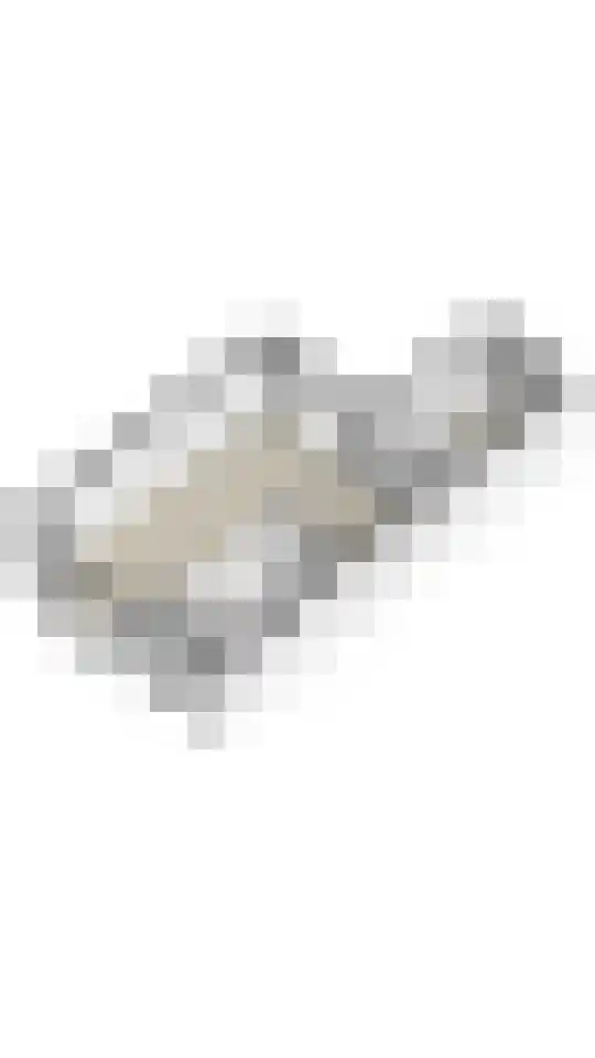 Larikslaan 203 Rotterdam thumbnail 37