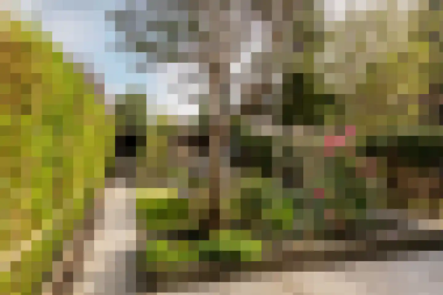 Larikslaan 203 Rotterdam thumbnail 5