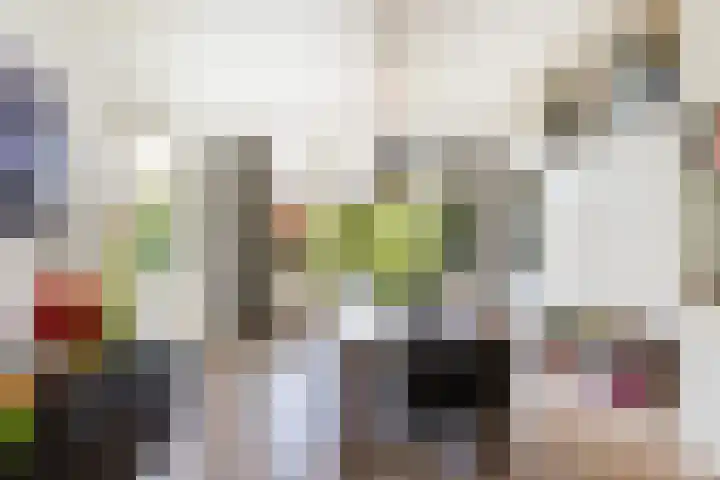 Larikslaan 222 Rotterdam thumbnail 10