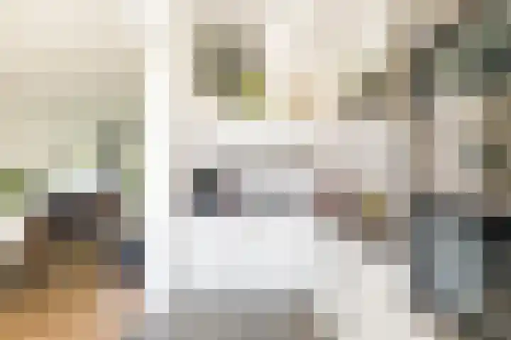 Larikslaan 222 Rotterdam thumbnail 12