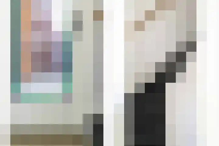 Larikslaan 222 Rotterdam thumbnail 15