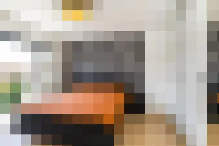 Larikslaan 222 Rotterdam thumbnail 17