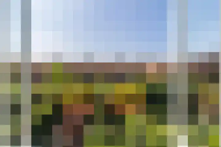 Larikslaan 222 Rotterdam thumbnail 19