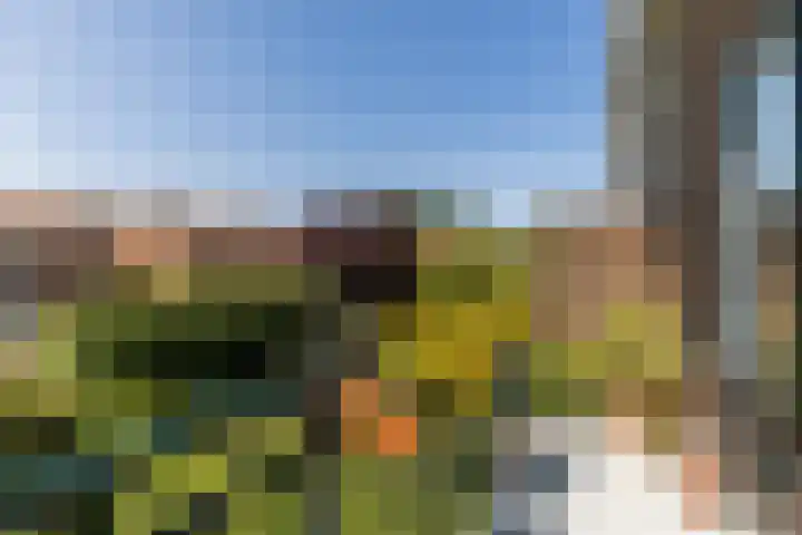 Larikslaan 222 Rotterdam thumbnail 20