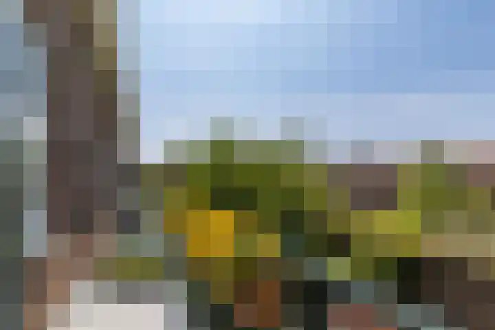 Larikslaan 222 Rotterdam thumbnail 21