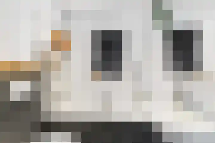 Larikslaan 222 Rotterdam thumbnail 27