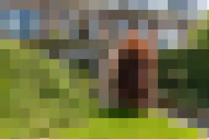 Larikslaan 222 Rotterdam thumbnail 37