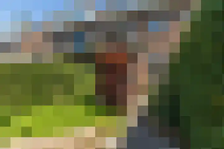 Larikslaan 222 Rotterdam thumbnail 38