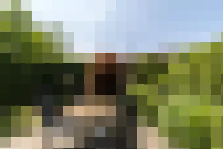Larikslaan 222 Rotterdam thumbnail 42