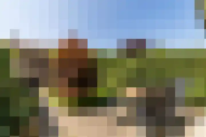 Larikslaan 222 Rotterdam thumbnail 43