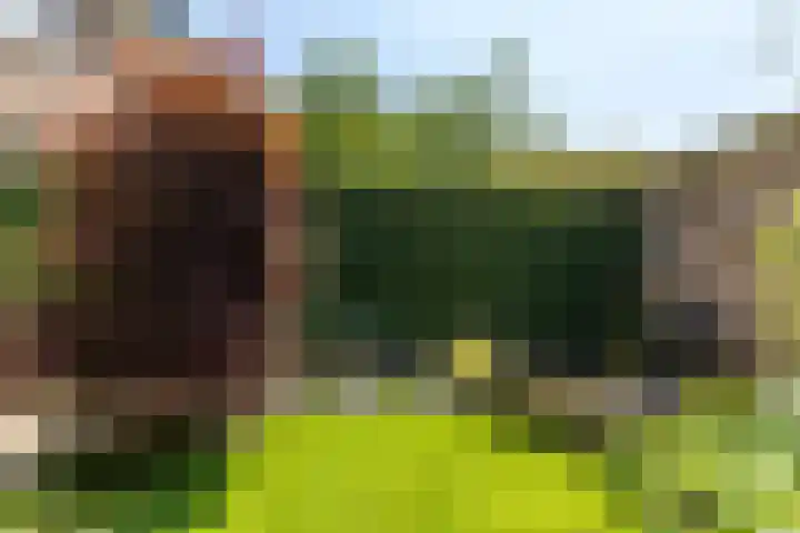 Larikslaan 222 Rotterdam thumbnail 46