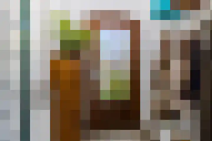 Larikslaan 222 Rotterdam thumbnail 5