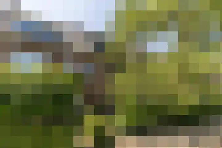 Larikslaan 222 Rotterdam thumbnail 50