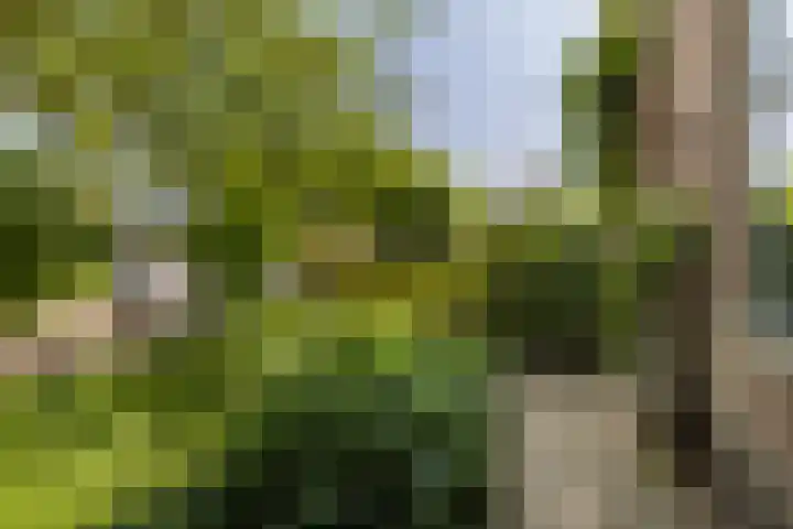 Larikslaan 222 Rotterdam thumbnail 51