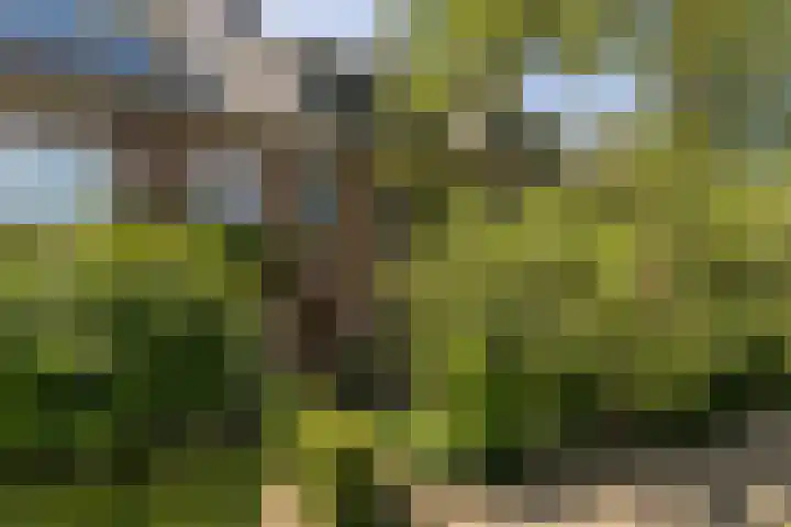 Larikslaan 222 Rotterdam thumbnail 52